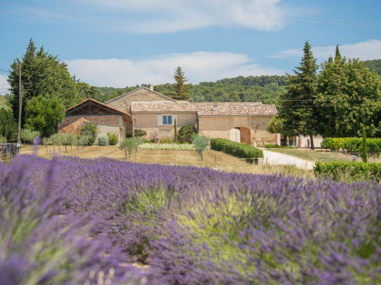 Valreas House | 270 m² House ∙ 8 bedrooms ∙ 16 guests