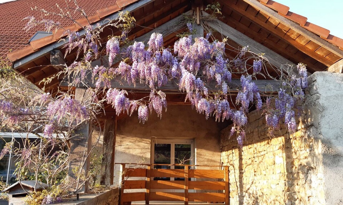 Mesandans House | 3-star furnished studio in the countryside, 5 minutes from the freeway.