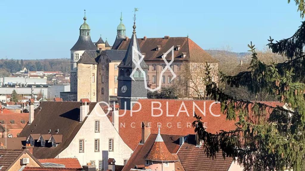 Montbeliard Apartment | 50m2 vue sur le château