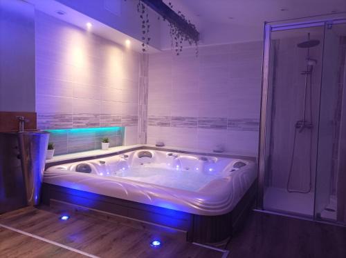 Epinal Apartment | A l'ombre du Lilas 3 chambres - terrasse - possibilité Spa privatif sur place - possibilité piscine située à 20 minutes
