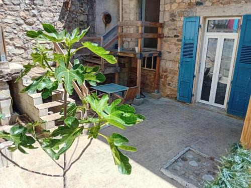Saint-Martin-de-Valamas Apartment | Appartement avec terrasse 42m2