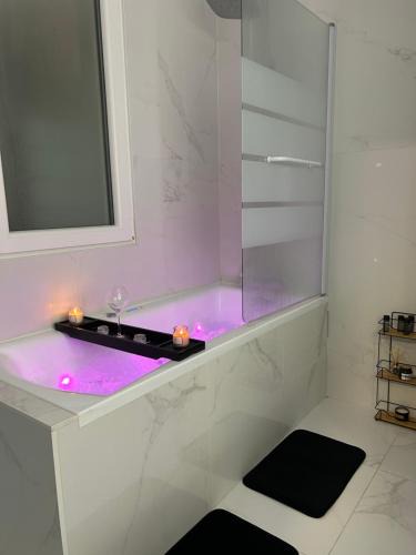 Chalon-sur-Saone Apartment | Appartement avec jacuzzi