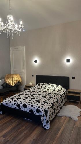 Vittel Apartment | Appartement JOANNA
