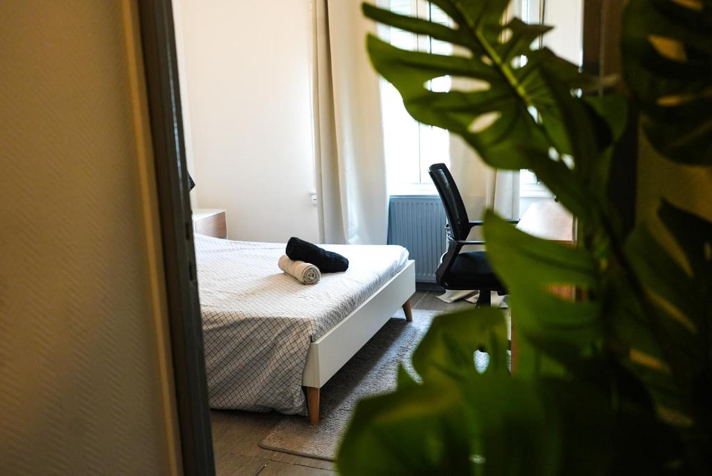 Saint-Jean-Baptiste Apartment | Appartement Temis et Centre ville avec Parking-wifi