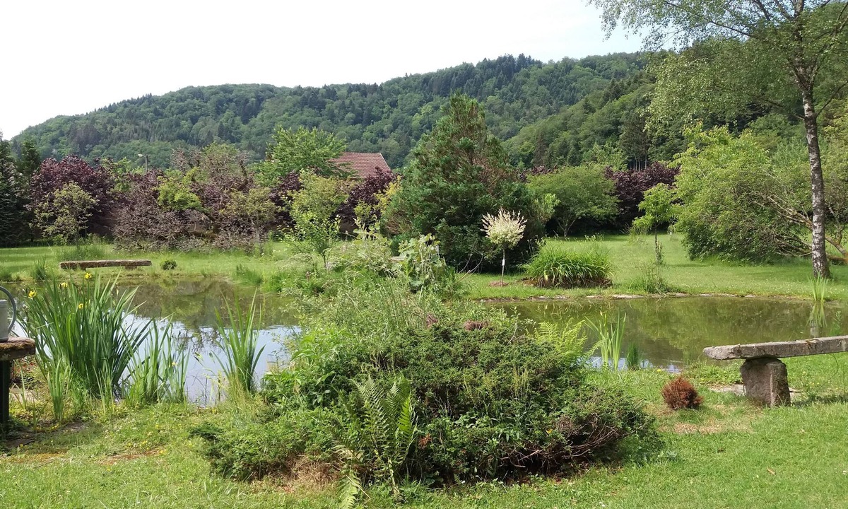 Vallee du Breuchin House | Au Pied des milles Étangs- LES CAPUCINS