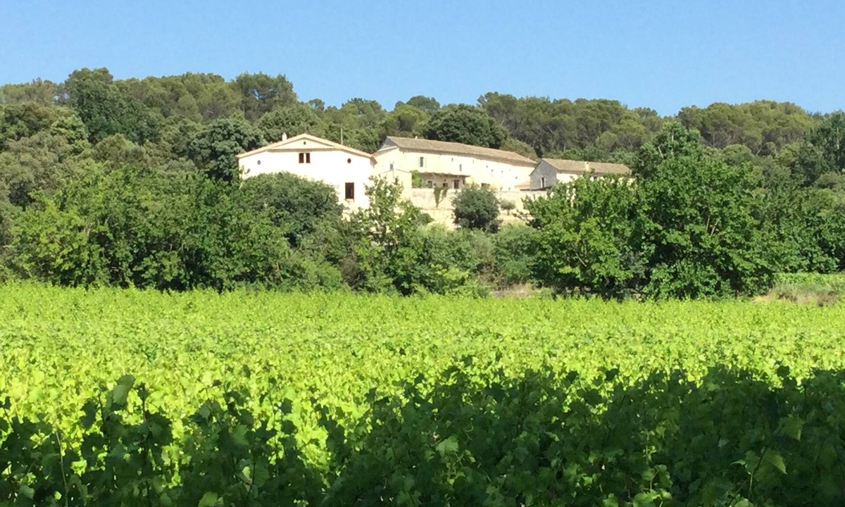 Bollene House | Bâtisse au Sein d un mas Provençal vue Imprenable