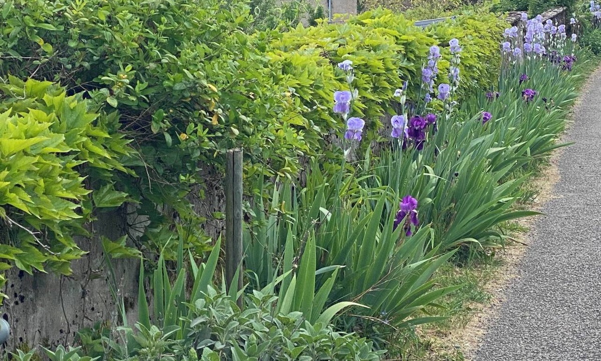 Saint-Racho Bed & Breakfast | Bed and Breakfast - Guest Dining in the hills of southern Burgundy.