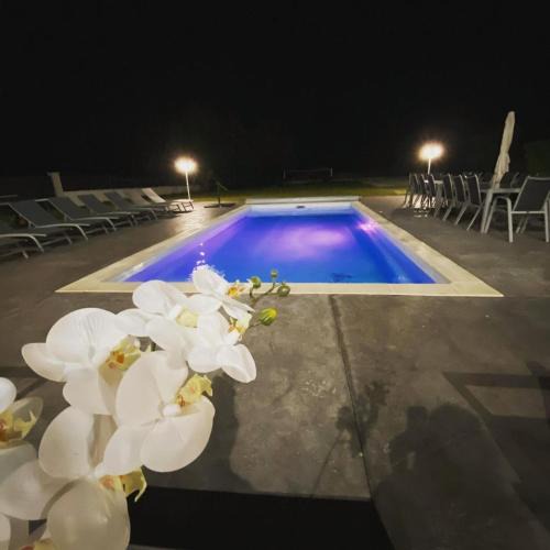 Gevigney House | Bienvenue A La Saone