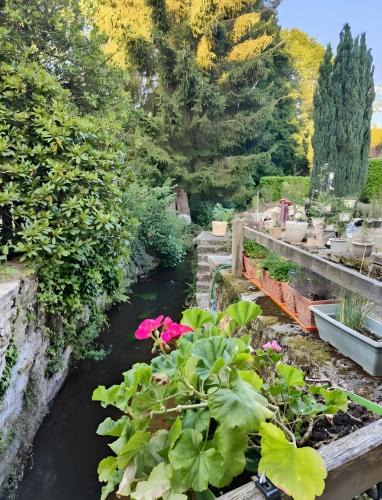 Forges-les-Bains Bed & Breakfast | Chambres D'hôtes