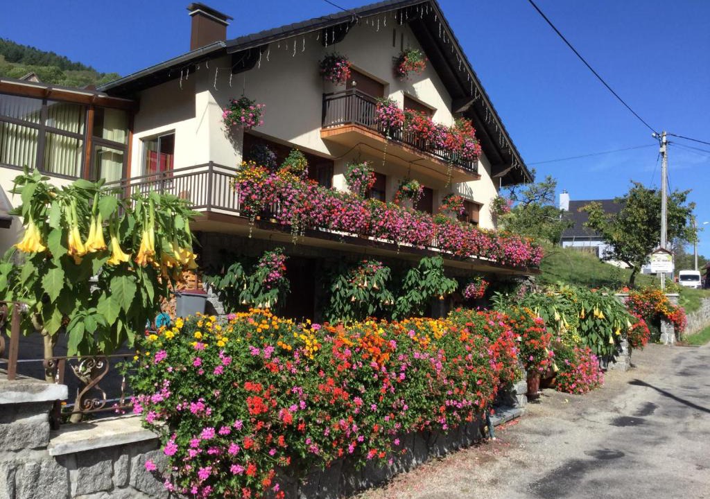 Sondernach Bed & Breakfast | Chambres d'hôtes Les Cigognes