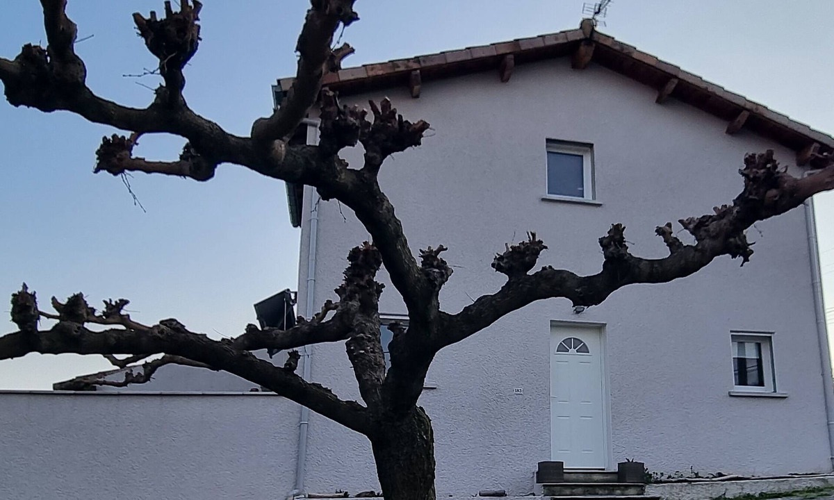 Vesseaux House | Chateau/Country House