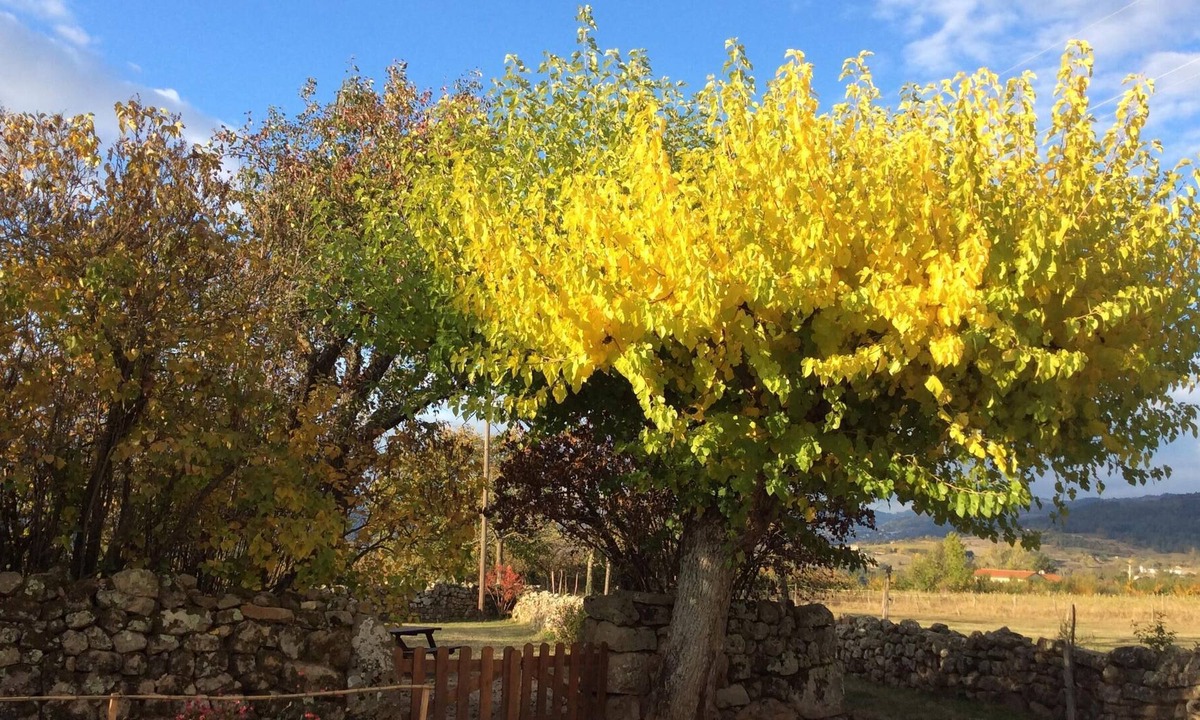 Ruisset Cottage | country holiday home - Colombier le vieux