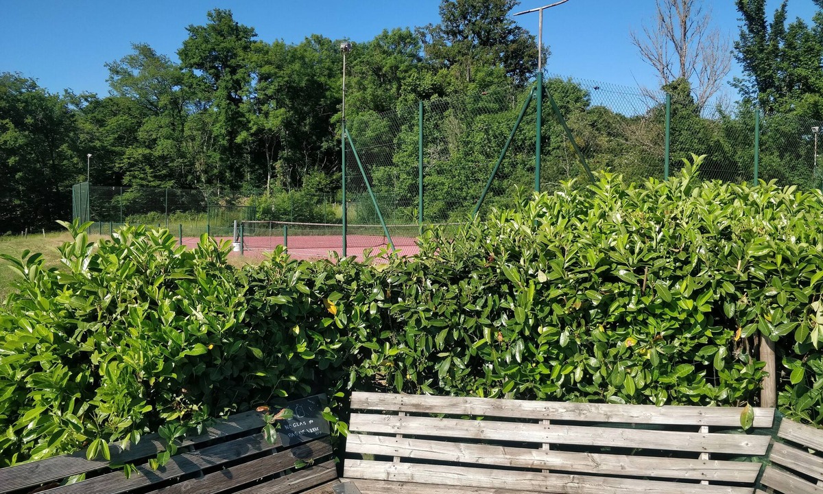 Crux-la-Ville Cottage | COUNTRY HOUSE & tenniscourt & swimming pool, in the heart of nature. Sleeps 12 Dog accepted