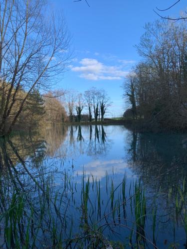Soncourt-sur-Marne Other | Domaine de l'étang du Tom et sa bulle