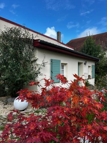 Vitrey-sur-Mance Apartment | Domaine de la Mance - Maisonnette avec cheminée, bain nordique en supplément