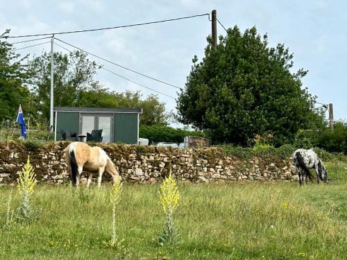 Lormes Bed & Breakfast | Down under in France