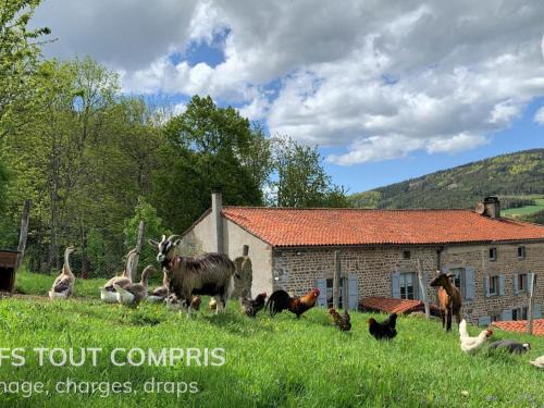 Sauvain House | Gîte de charme avec boiseries, cheminée et jardin fleuri à Sauvain - FR-1-496-315