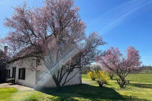 Diancey House | Gîte de la Fontaine salée