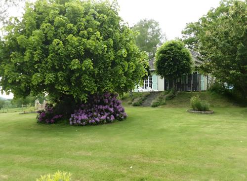 Lanobre House | Gîte de Lonzanges