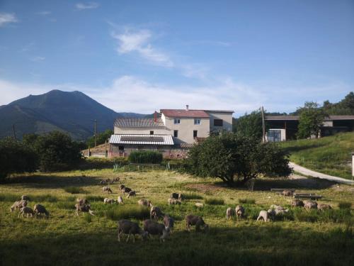 Rosans Apartment | Gîte des Millets en Baronnies