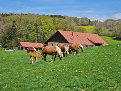 Arcon House | Gîte du cheval blanc