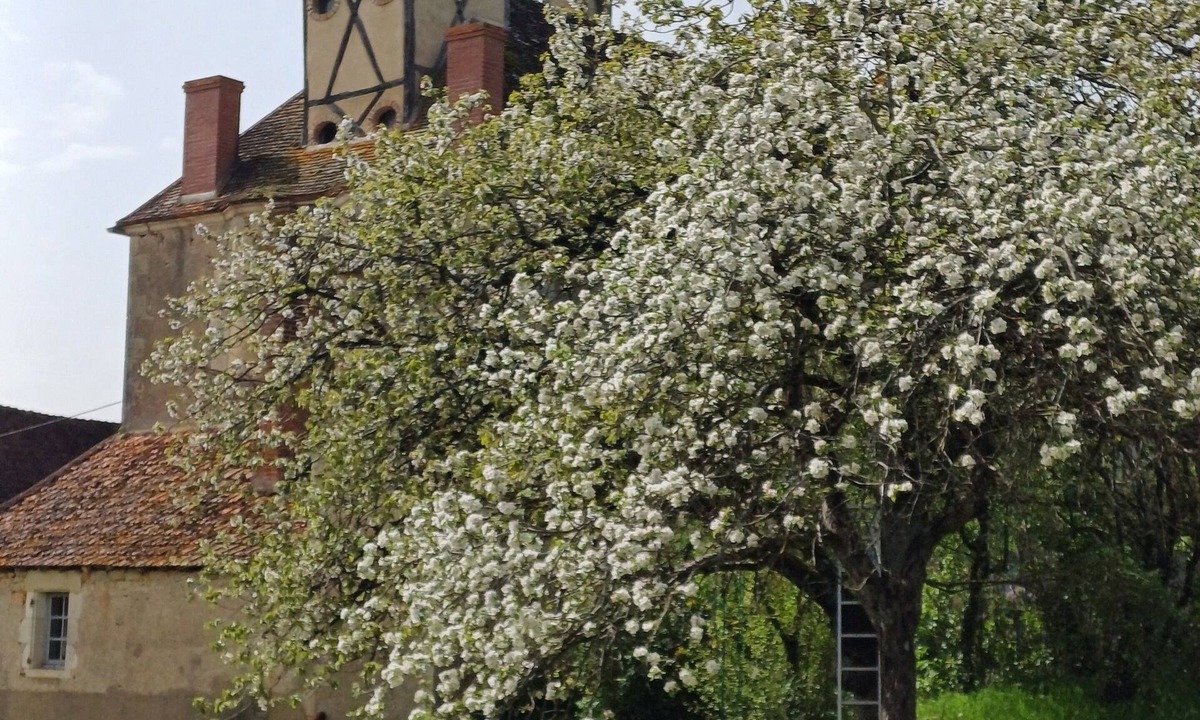 Vielmanay House | Gîte Entre Loire Vignobles et Forêts