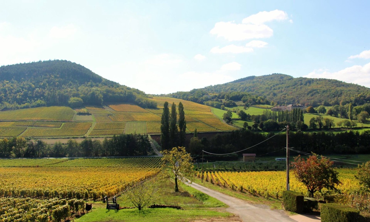 Maconnais Beaujolais Agglomeration House | Gîte de "La Bauderie", in the heart of the Mâconnais vineyards