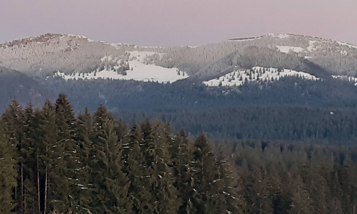 Mazire Apartment | Gîte des Hauts Sapins 4* - 10 pers. An ideal location and a soothing atmosphere.
