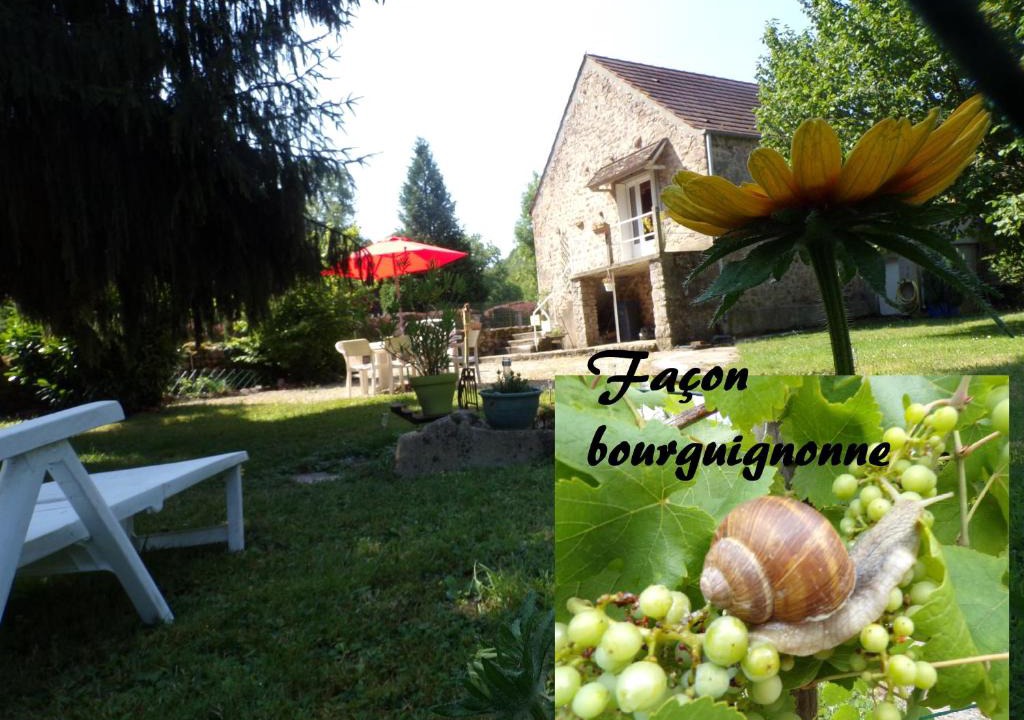 Magny House | Gite "La Méluzine" Avallon, Vézelay, Morvan