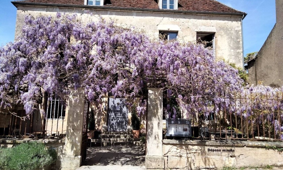 Vezelay Hotel | Hôtel Les Glycines