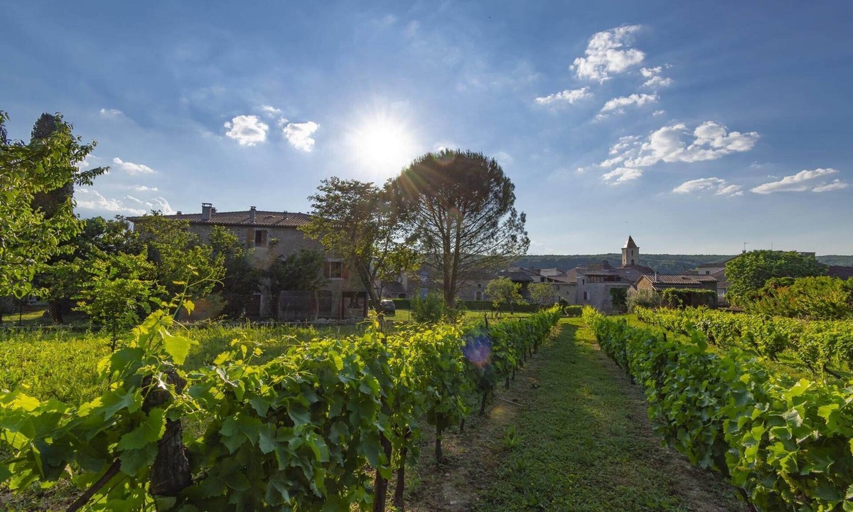 Saint-Maurice-dʼArdeche House | House with private terrace in mas ardéchois