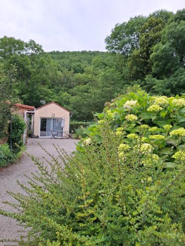 Montoulieu Apartment | Jardin Fleuri - Proche Foix