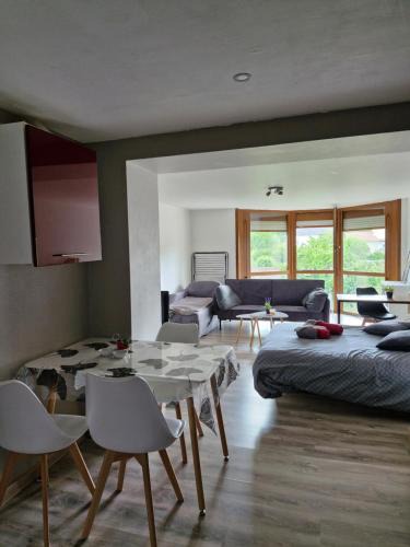 Chantraine Apartment | Joli studio une pièce 15min à pied centre dEpinal 4 personnes grâce au canapé lit, parking privé gratuit et parking extérieur gratuit Machine à laver TV wifi machine à café linge de lit et serviettes fournis