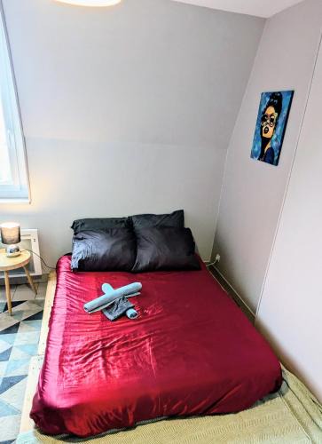Nevers House | Jolie chambre tout confort et calme ! à pied , 5min de la gare ! de la cathédrale ! et des bords de Loire ! localisation top ! MAIS merci de BIEN lire ma présentation personnelle, car le site impose la sienne, lire jusqu'à section profil