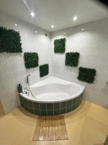 Saales Apartment | Jungle studio