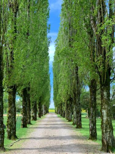 Chevigny Bed & Breakfast | L’allée des peupliers
