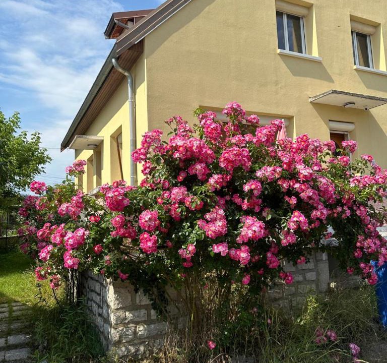 Champagnole Apartment | L'Authentique Jurassien