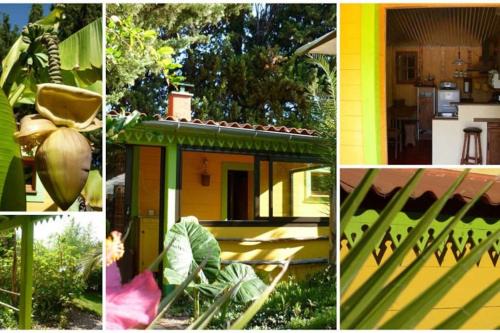 Thuir House | La case