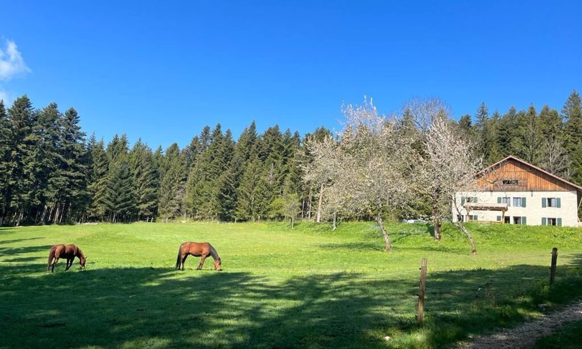 Plaimbois-du-Miroir House | La Ferme des Brosses