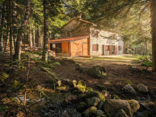 Chalmazel-Jeansagniere House | LA Jasserie, 12 pers, spa et sauna
