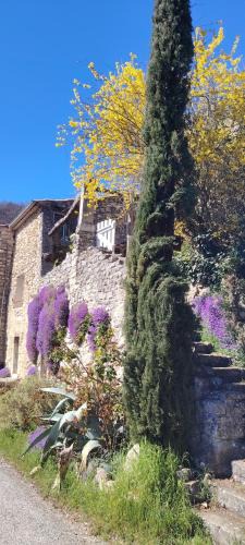 Montjoux House | La Lance