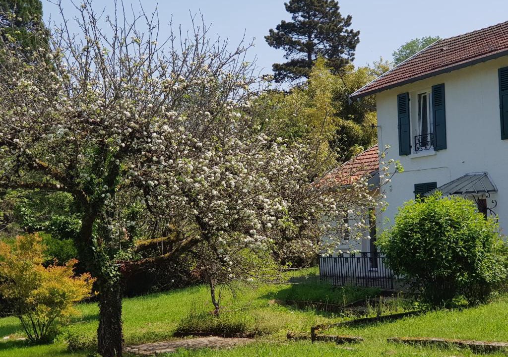 Besancon Apartment | La Petite Sommière