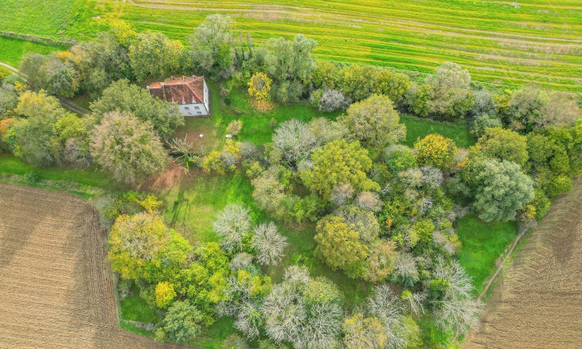 Courlon House | LA TUILERIE DU CINEASTE An immersive bed and breakfast on the Côte D'Or cinema scene