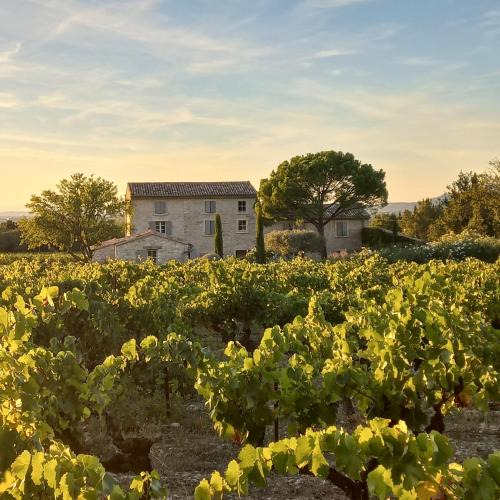 Saint-Didier House | Le Cottage du Chat Blanc, Saint-Didier, Provence, 4 pers, climatisation, piscine