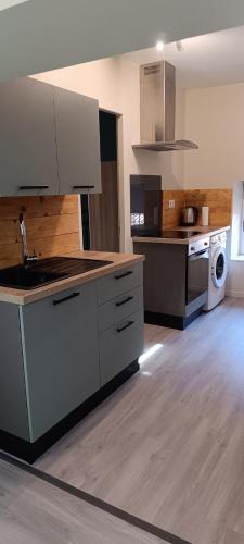 Scey-sur-Saone-et-Saint-Albin Apartment | Le petit chez vous
