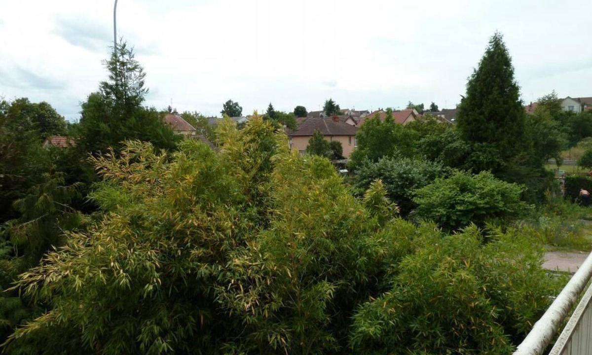 Le Creusot Apartment | Le Jardin Japonais - Creusot