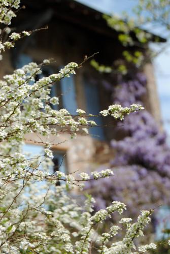 Trivy Bed & Breakfast | Le nid des artistes