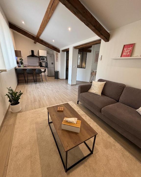 Macon Apartment | Le Saint Pierre, T2 chic et rénové au coeur du centre ville