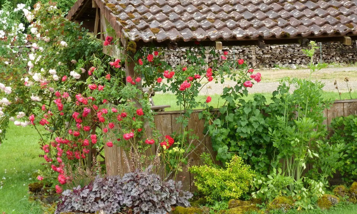 Villafans Bed & Breakfast | Les Cigales Chambre d'Hote