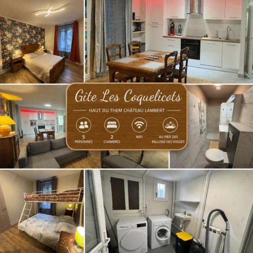 Haut-du-Them-Chateau-Lambert Apartment | Les coquelicots aux pieds des ballons des Vosges